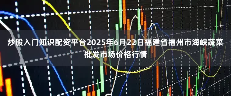 炒股入门知识配资平台2025年6月22日福建省福州市海峡蔬菜批发市场价格行情