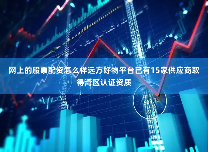 网上的股票配资怎么样远方好物平台已有15家供应商取得湾区认证资质