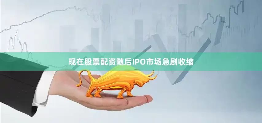 现在股票配资随后IPO市场急剧收缩
