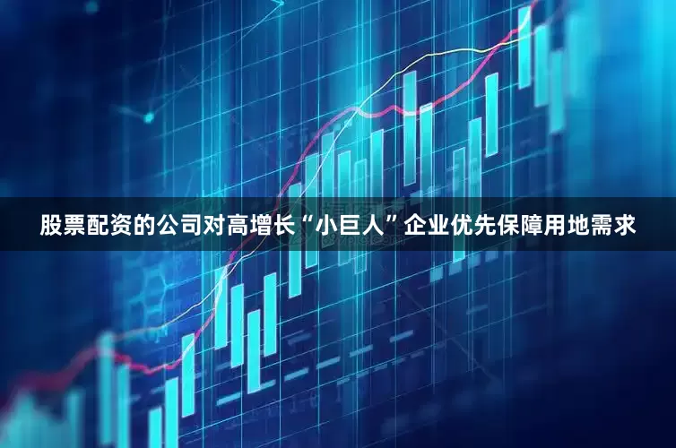 股票配资的公司对高增长“小巨人”企业优先保障用地需求