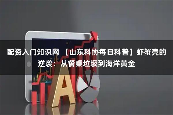 配资入门知识网 【山东科协每日科普】虾蟹壳的逆袭：从餐桌垃圾到海洋黄金